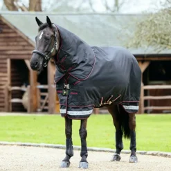 Online LeMieux - Couverture Arika Storm-Tek 50g Noir