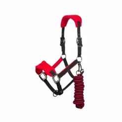 LeMieux - Ensemble licol + longe Vogue noir/ Rouge Online