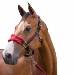 LeMieux - Ensemble licol + longe Vogue noir/ Rouge Online