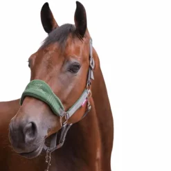 Outlet LeMieux - Ensemble licol + longe Vogue gris/ Vert