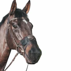 Best LeMieux - Filet protège naseaux Noir