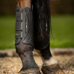 Online LeMieux - Guêtres de cross MimSafe postérieurs / jaune Noir