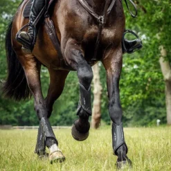 LeMieux - Guêtres de cross MimSafe antérieurs / jaune Noir