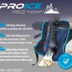 LeMieux - Guêtres de froid ProIce Freeze x2 Noir Discount