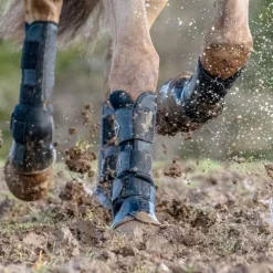 Online LeMieux - Guêtres de pré (x2) Noir