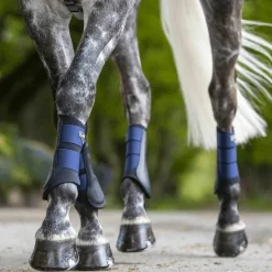 LeMieux - Guêtres fermées Grafter / marine x2 Noir Best