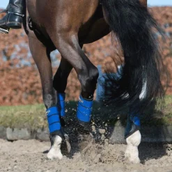 Hot LeMieux - Guêtres fermées Grafter x2 Bleu