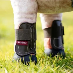 Clearance LeMieux - Guêtres pour peluche Toy Pony Capella Marron