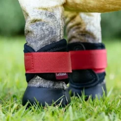LeMieux - Guêtres pour Toy Pony Grafter chili Rouge Outlet