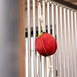 Discount LeMieux - Jouet pour chevaux Pomme Rouge