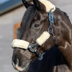 Clearance LeMieux - Kit fourreau de licol Simuwool naturel Beige