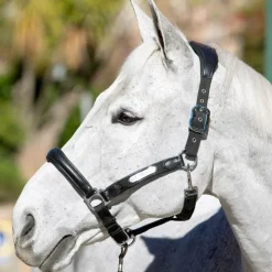 LeMieux - Licol Capella Noir Sale