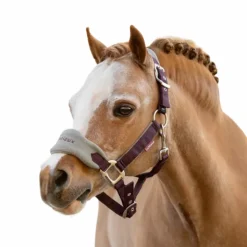 LeMieux - Licol et longe Vogue damson Bordeaux Hot