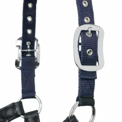 New LeMieux - Licol pour chevaux Capella Marine