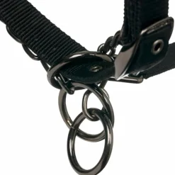 Online LeMieux - Licol pour chevaux ProSafe Noir
