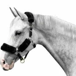 LeMieux - Licol pour chevaux Comfort Noir Online