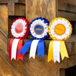 LeMieux - Lot de rosettes pour hobby horse Multicolore