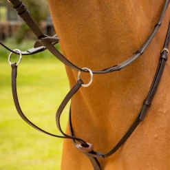 LeMieux - Martingale à anneaux Arika / argent Marron Sale