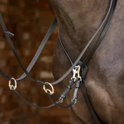 LeMieux - Martingale à anneaux Kudos / argent Noir