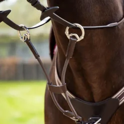 Outlet LeMieux - Martingale élastique / argent Marron