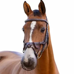 LeMieux - Protection de nasaux Comfort Shield Grackle Marron Best