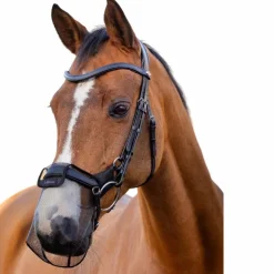 Hot LeMieux - Protection de nasaux Comfort Shield Drop Noir