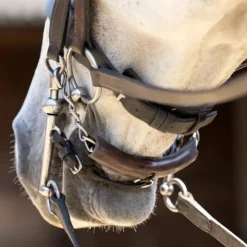 LeMieux - Protège gourmette Curb Chain Marron