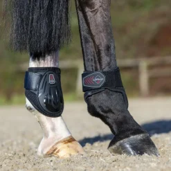 LeMieux - Protège-boulets Derby Projump Noir Sale