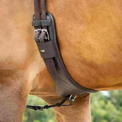 LeMieux - Sangle courte de dressage cuir Arika Marron