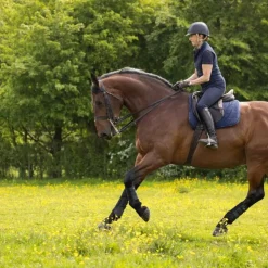 Discount LeMieux - Tapis de dressage Work Marine