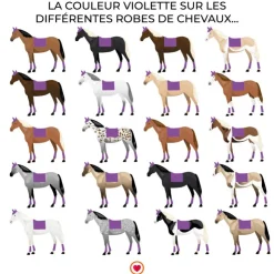 Hot LeMieux - Tapis de dressage Loire Memory Satin Violet