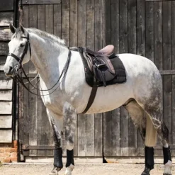 LeMieux - Tapis de dressage Work Noir