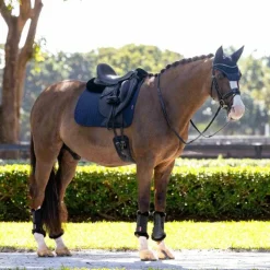 LeMieux - Tapis de dressage Finesse Marine Online