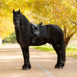 LeMieux - Tapis de dressage Square Essence Noir Outlet