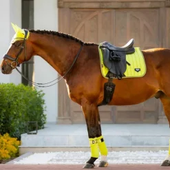 LeMieux - Tapis de dressage Loire Classic Square kiwi Vert Clearance