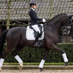 Sale LeMieux - Tapis de dressage Crystal Suede Square Blanc