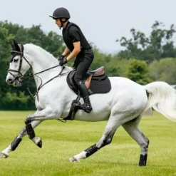 Discount LeMieux - Tapis de selle Close Contact Square Noir