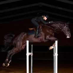 LeMieux - Tapis de selle ProForm Noir Online