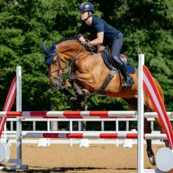 Online LeMieux - Tapis de selle Suede Close Contact Square Marine