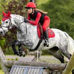 New LeMieux - Tapis de selle Square Mixte Loire chili Rouge