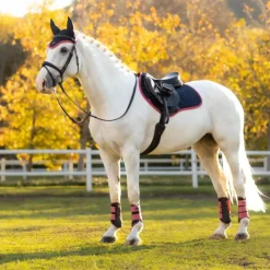 LeMieux - Tapis de selle Square suédine / cranberry Marine Sale