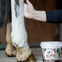 Leovet - Argile rafraîchissante Mineralpack plus à l'arnica Online