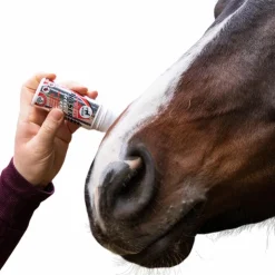 Leovet - Répulsif insectes Power phaser roll'on New