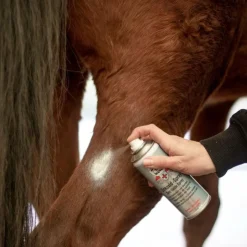 Outlet Leovet - Spray désinfectant et asséchant à l'oxyde de zinc First Aid