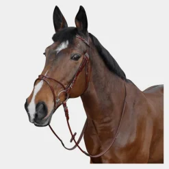 Lexington - Bridon Atlanta rond avec rênes Hot