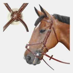 Lexington - Bridon Denver croisé avec rênes