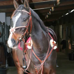 Lexington - Bridon Tucson Croisé avec rênes camel