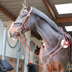 Lexington - Bridon Tucson Croisé avec rênes camel