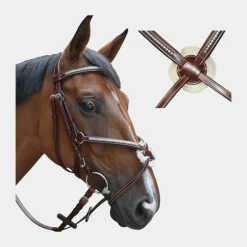 Hot Lexington - Bridon Tucson Croisé avec rênes marron Havane