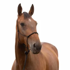 Discount Norton Licol éthologique doux noir